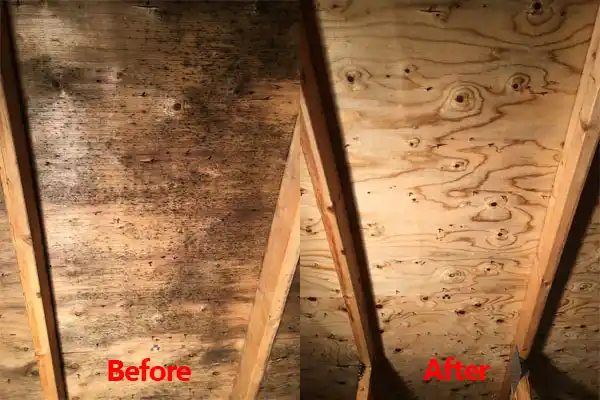 water damage restoration service Blackwells Mills